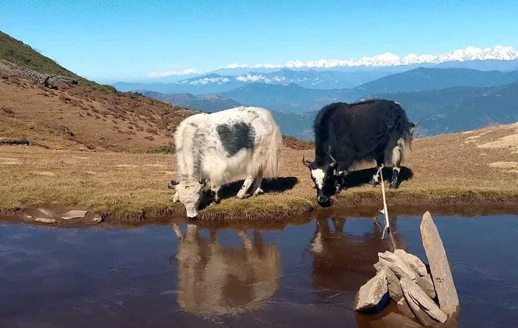 Best Season for Trekking in Nepal