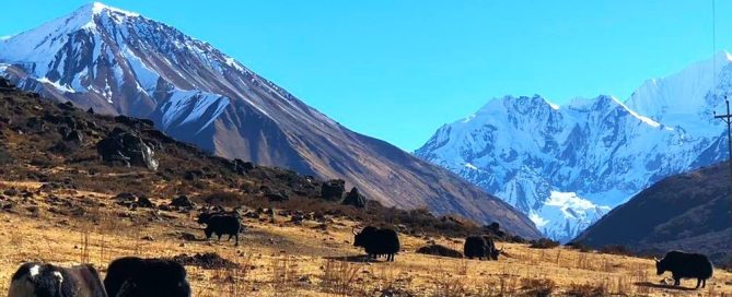 Langtang Gosaikunda Trek