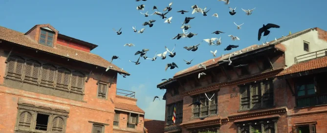Swoyambhunath Kathmandu Durbar Pashupati Tour