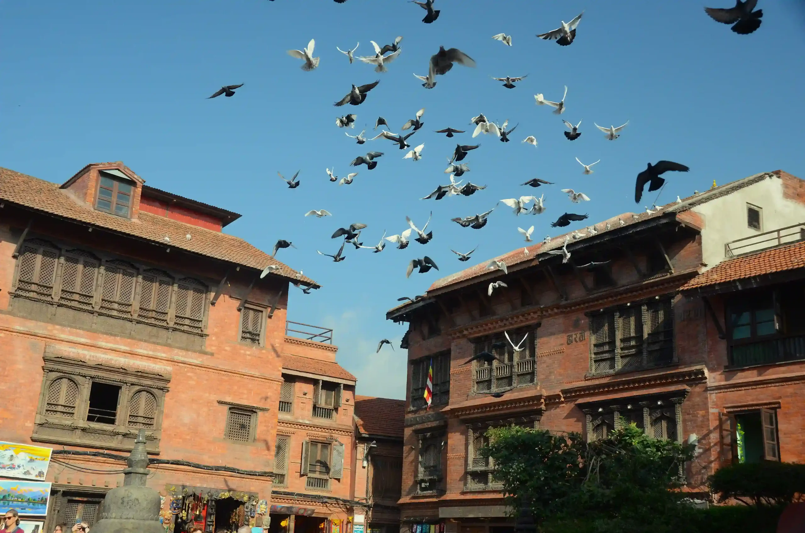 Swoyambhunath Kathmandu Durbar And Pashupati Tour