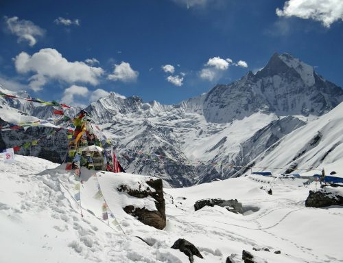 Annapurna Base Camp Trek: Complete Guide (2026)