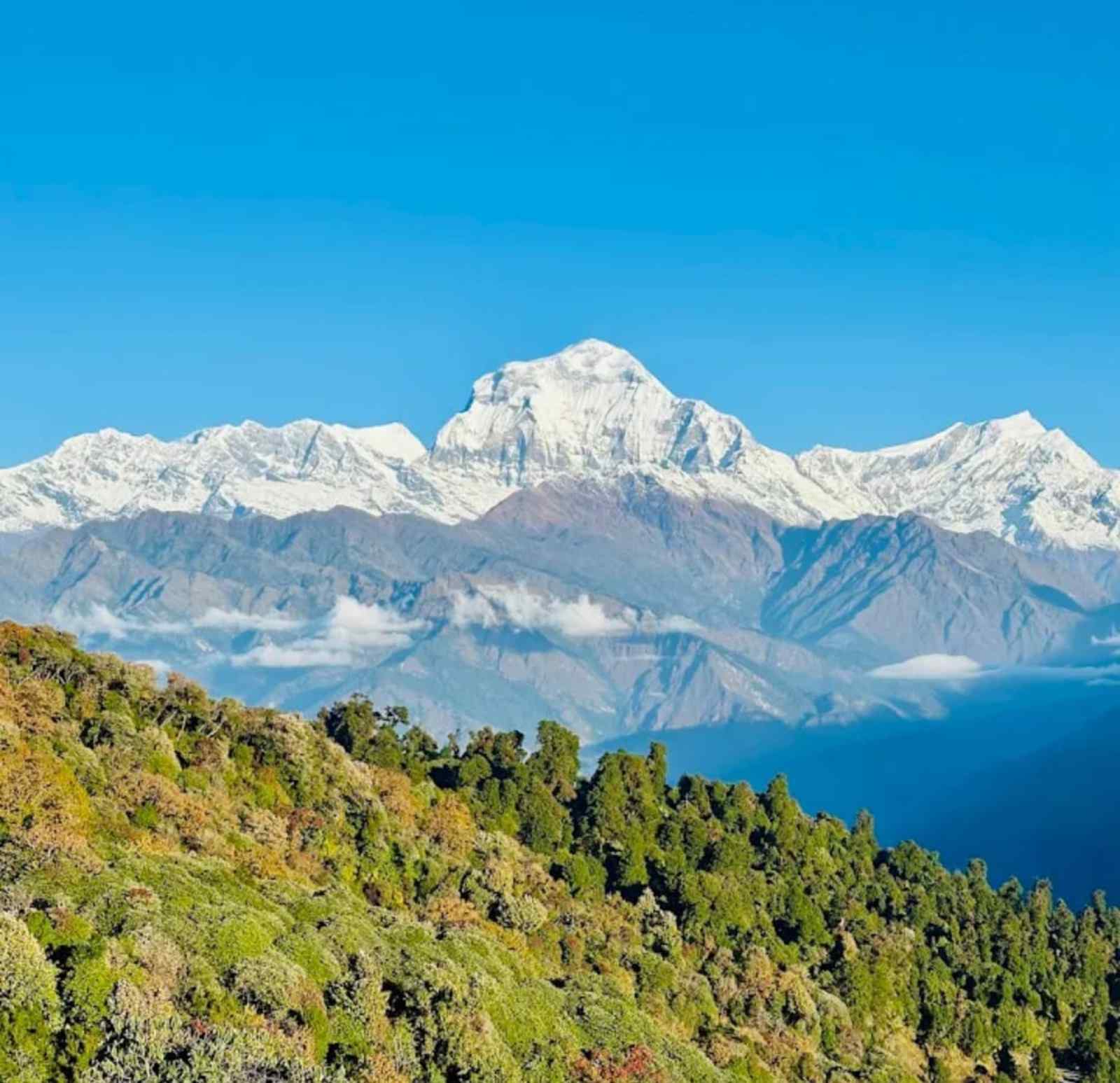 Ghorepani-Poonhill-Trek-1