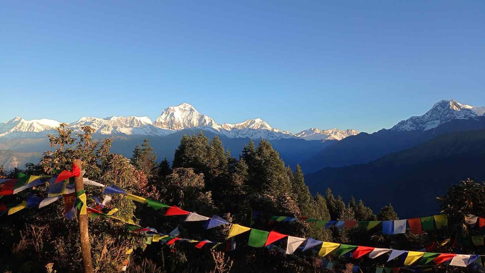 Ghorepani-Poonhill-Trek-2