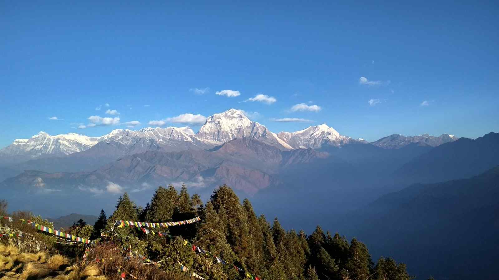 Ghorepani-Poonhill-Trek-5