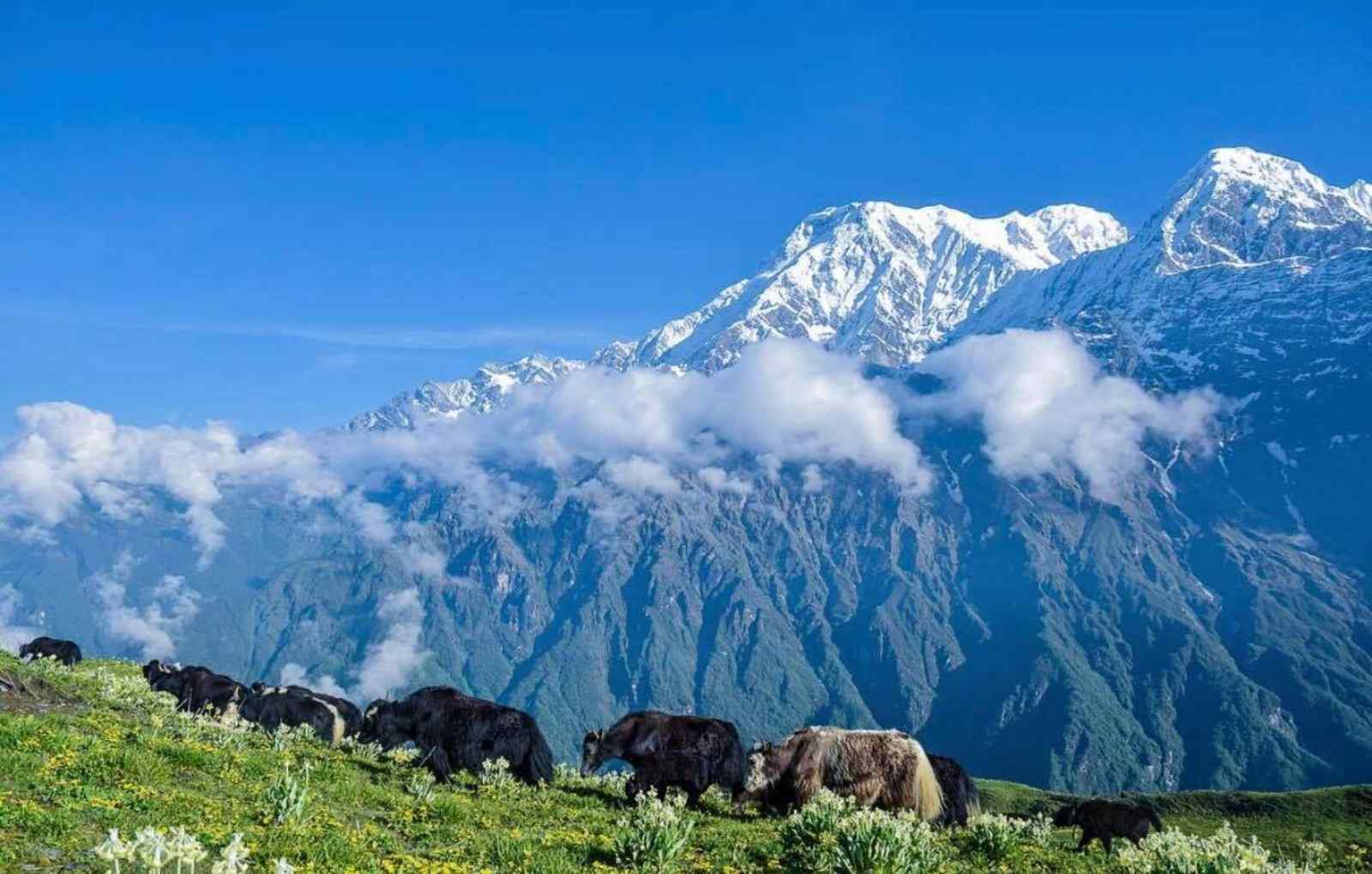 Mardi-Himal-Trek-5
