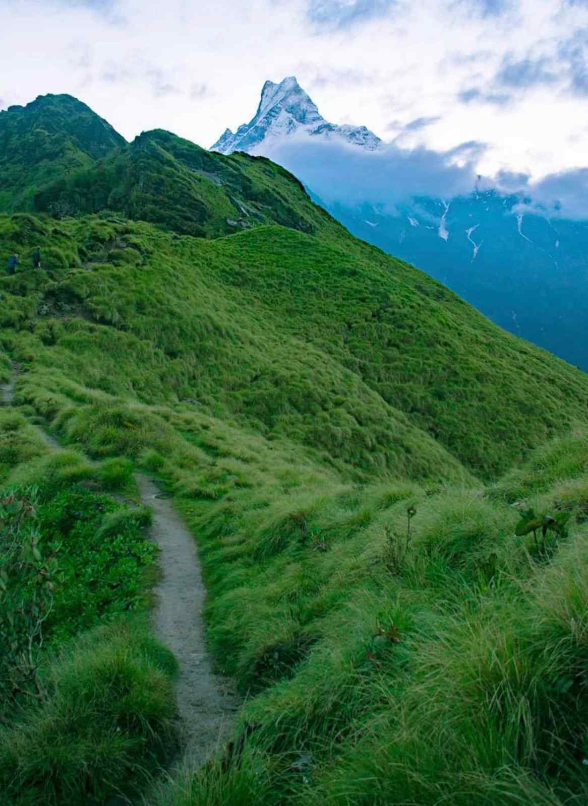 Mardi-Himal-Trek-6