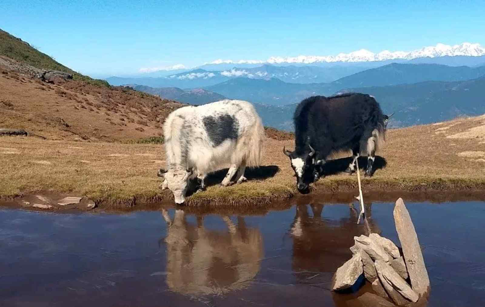 Pikey-Peak-Trek-6